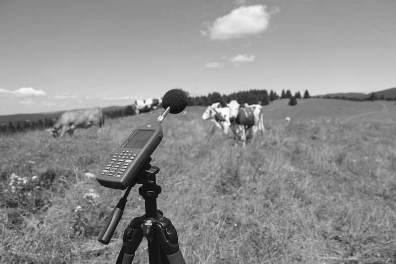 Acoustique environnementale